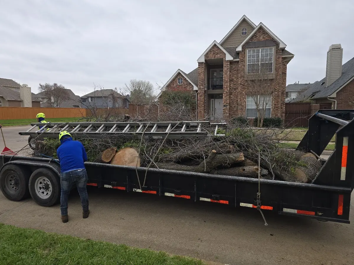 Expert Lot Clearing with proper safety equipment in Tustin